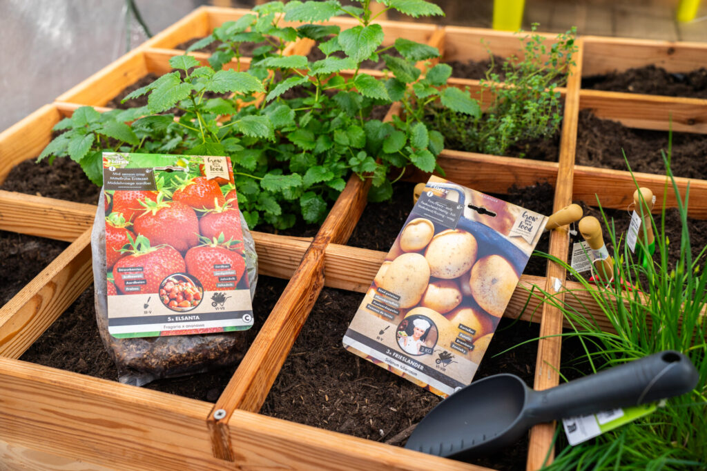 Moestuin & fruitbomen