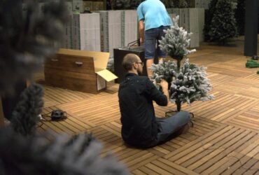 Blog Bomenbos Intratuin 1 Blog Bomenbos Intratuin 1