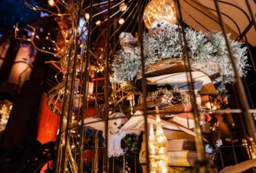 387168252 717343840434700 8922627090537868577 N 387168252 717343840434700 8922627090537868577 N