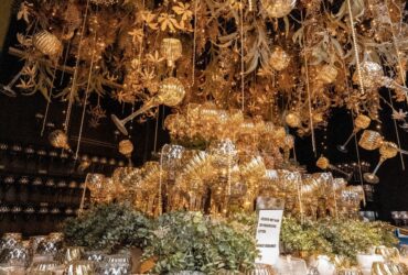 387191101 717344180434666 3966558633036033076 N 387191101 717344180434666 3966558633036033076 N