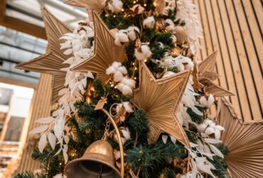 387196924 717343713768046 8996551549384843704 N 387196924 717343713768046 8996551549384843704 N