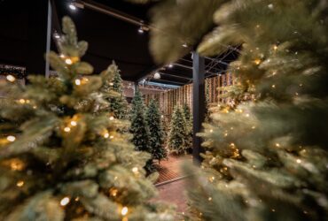 387208560 717343747101376 4535923794271428077 N 387208560 717343747101376 4535923794271428077 N