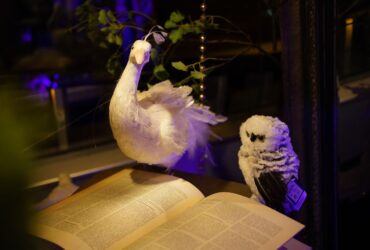 Blog Storie Intratuin 1 Blog Storie Intratuin 1