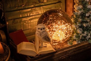 Blog Storie Intratuin Christmaholic 2 (1) Blog Storie Intratuin Christmaholic 2 (1)