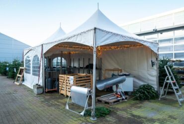 Blog Storie Echtebomen 2 Blog Storie Echtebomen 2