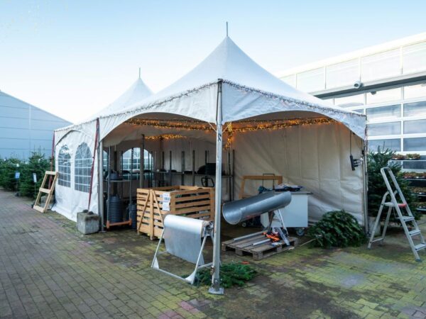 Blog Storie Echtebomen 2