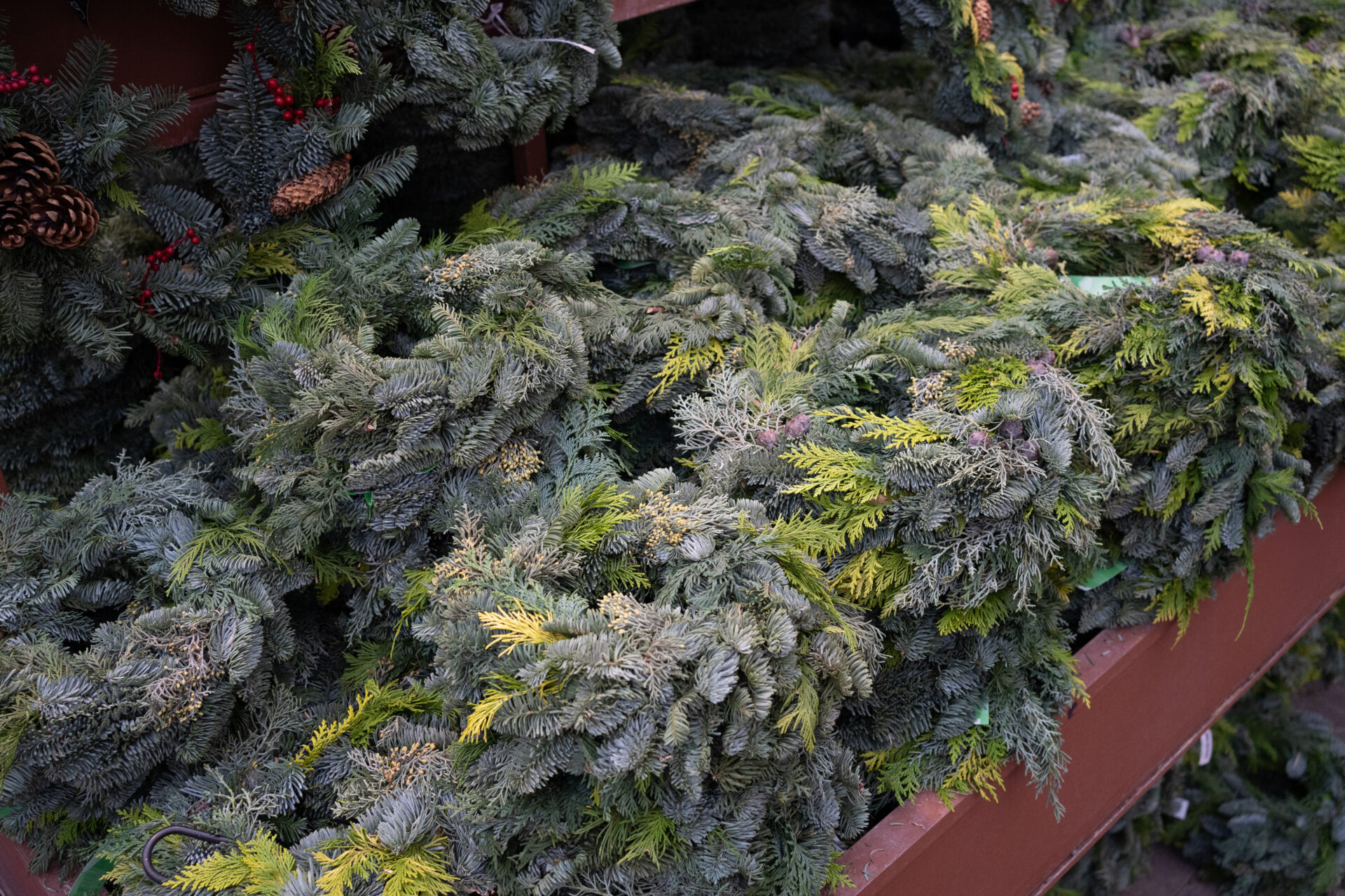 Van DIY tot Design: Een Gids voor Perfecte Kerstkransen!