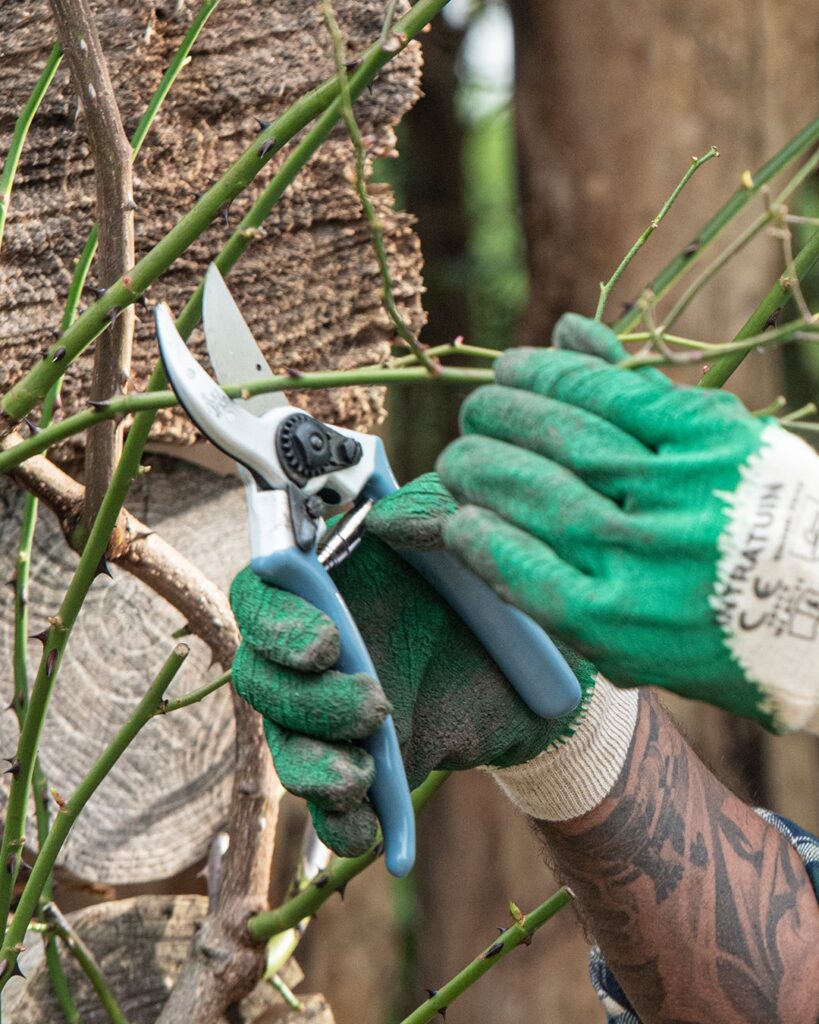 Onze snoeischaar is best getest!