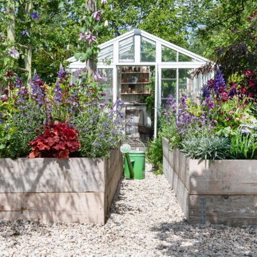 Tuinkalender augustus