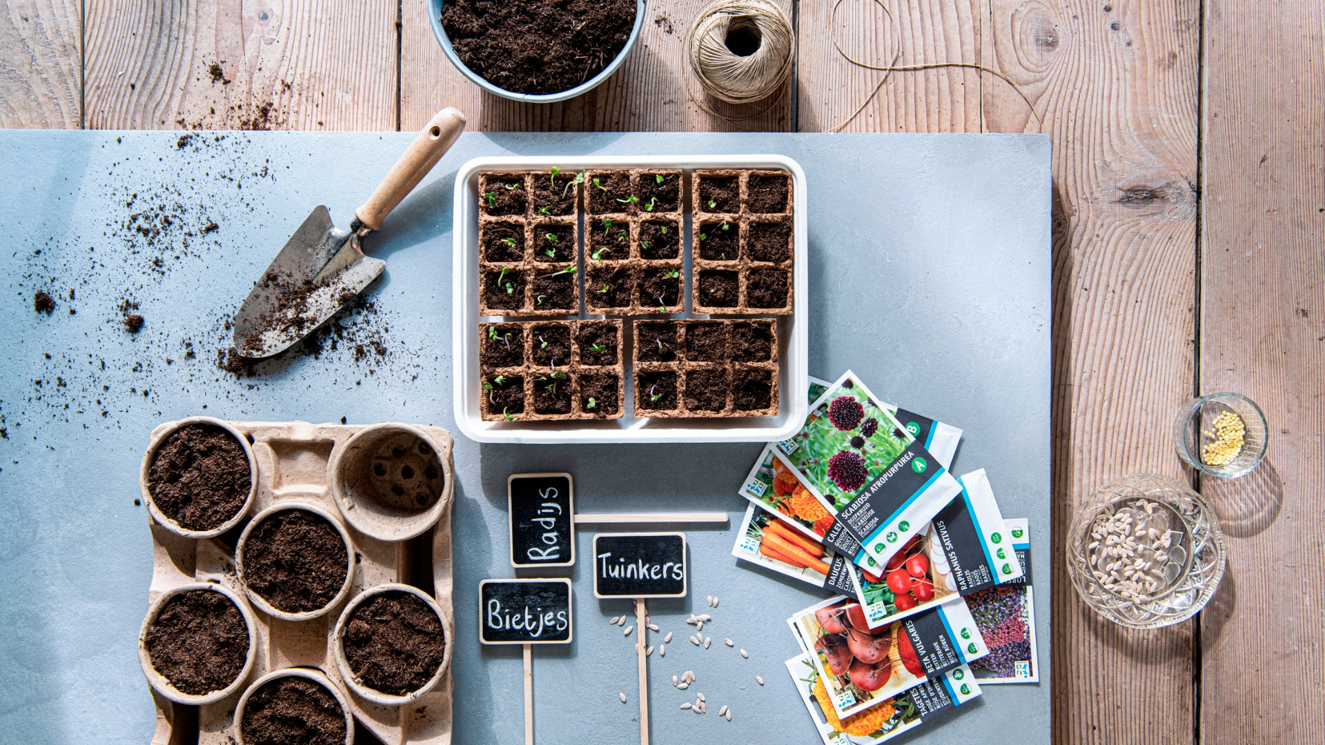 Moestuinkalender januari