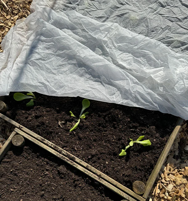 Moestuinkalender april Moestuinkalender april