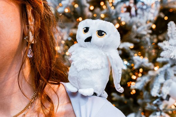 Carroussel Blog Schouder (1)