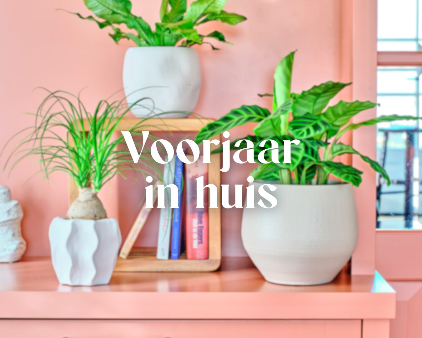 Zo haal je het voorjaar alvast in huis