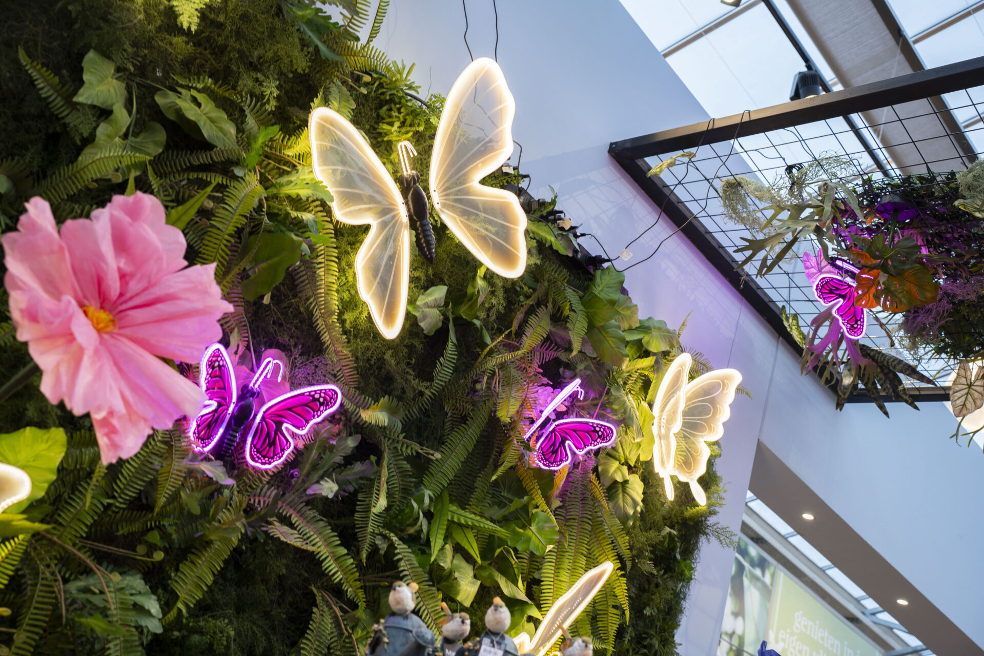 Lichtgevende Vlinders