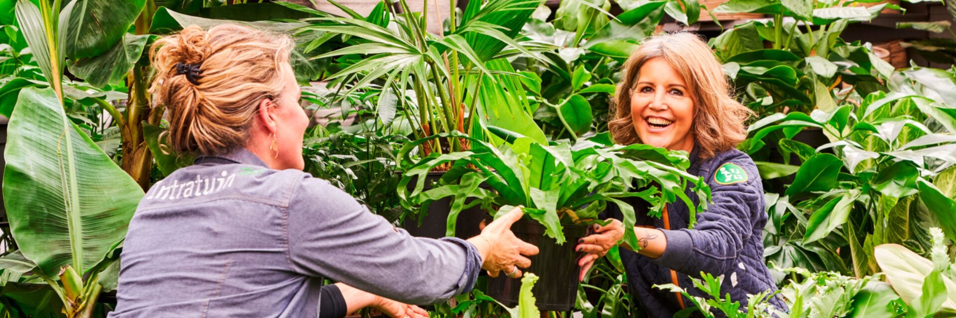 Kom werken bij Intratuin Duiven