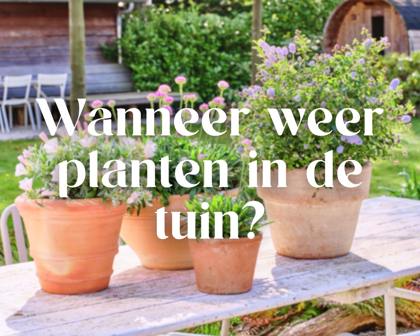 Wanneer mag je weer planten in de tuin?