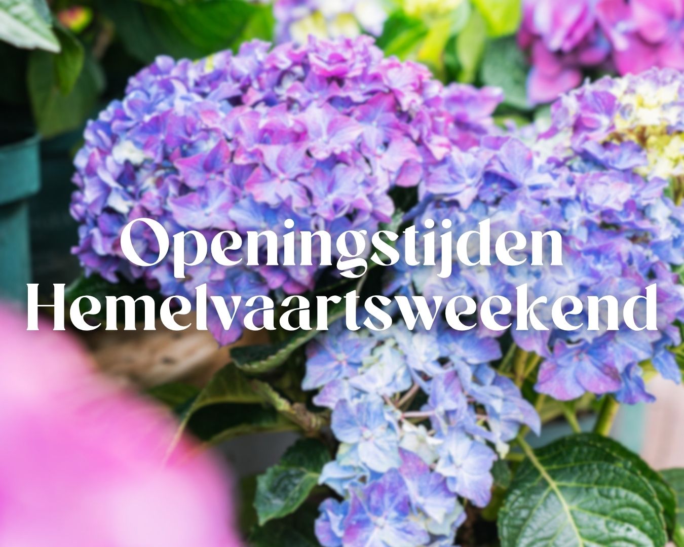 Openingstijden Hemelvaartsweekend