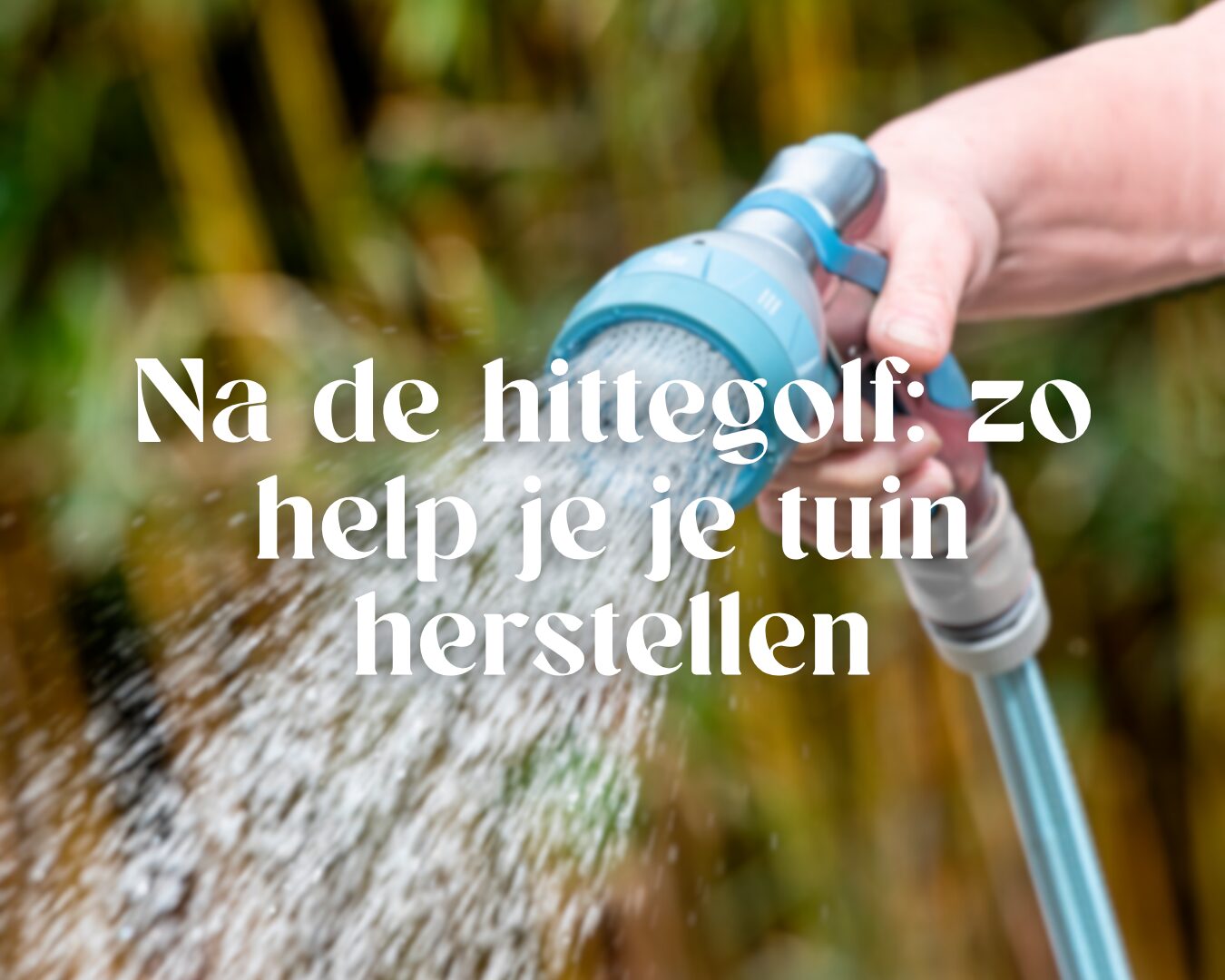 Na de hittegolf: zo help je je tuin herstellen