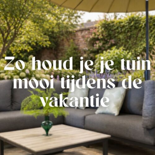 Zo houd je je tuin mooi tijdens de vakantie